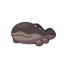 avocado-t0ast