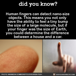 hatchibomitar:  shinyrock6498:  did-you-kno: Human fingers can detect nano-size  objects. This means you not only  have the ability to feel a tiny bump  the size of a large molecule, but if  your finger was the size of Earth,  you could determine the