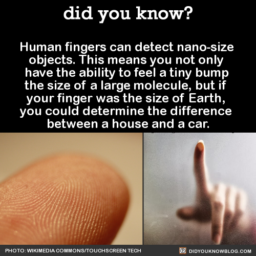 hatchibomitar:shinyrock6498:did-you-kno:Human fingers can detect nano-size objects. This means you n