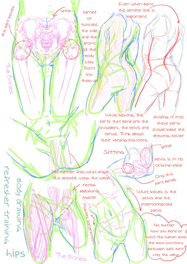 losthitsu:  Body drawing review - translated version.  Finally, Someone actually