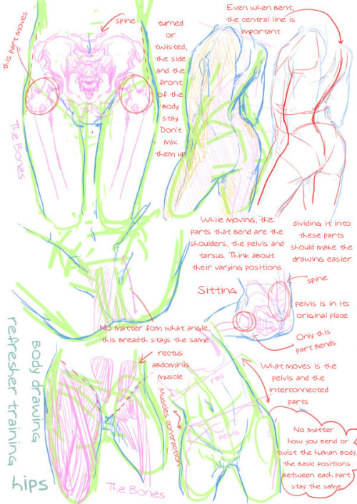 losthitsu:  Body drawing review - translated version.  Finally, Someone actually translated this thing! I was waiting for someone to do that, as it looks like notes on these drawings looked informative.