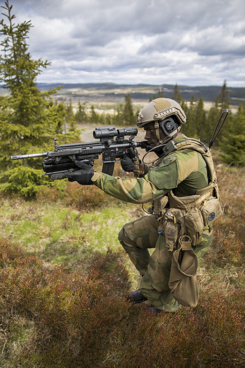 militaryarmament:  Recruits with The Norwegian Army’s Manoeuvre School’s Mechanized Company Group (KESK) during a live fire exercise at Rena Military Base. June 4, 2015.