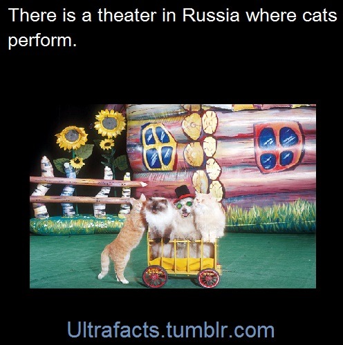 ultrafacts:  Entire compilation of Russia facts. Sources: 1 2/2/2/2 3 4 5 6 7 8 9 