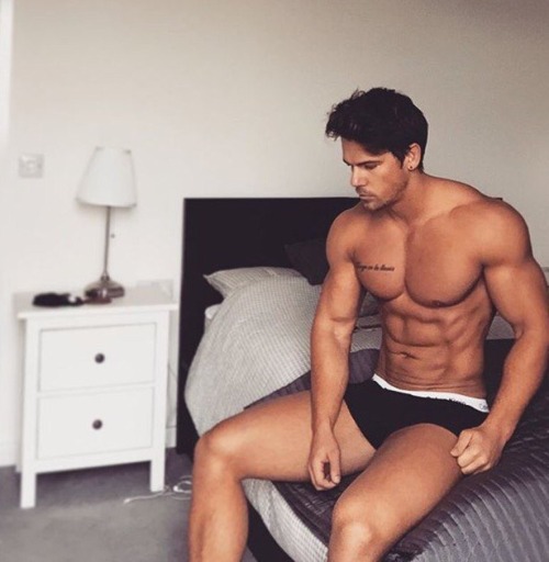 Adonis Files
