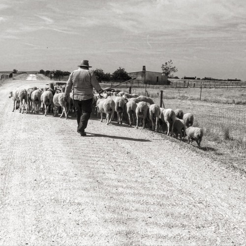 “La poética de lo bucólico..” por Ana Igartúa“Poetics on a bucolic landscape.” by Ana Igartúa