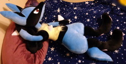 renchanworkshop: Life size Lucario plush, non-wired, was ordered customized with modified legs (warning upfront: a lot of other Lucarios are almost ready as well so I will spam my blog a bit with them X) ) 