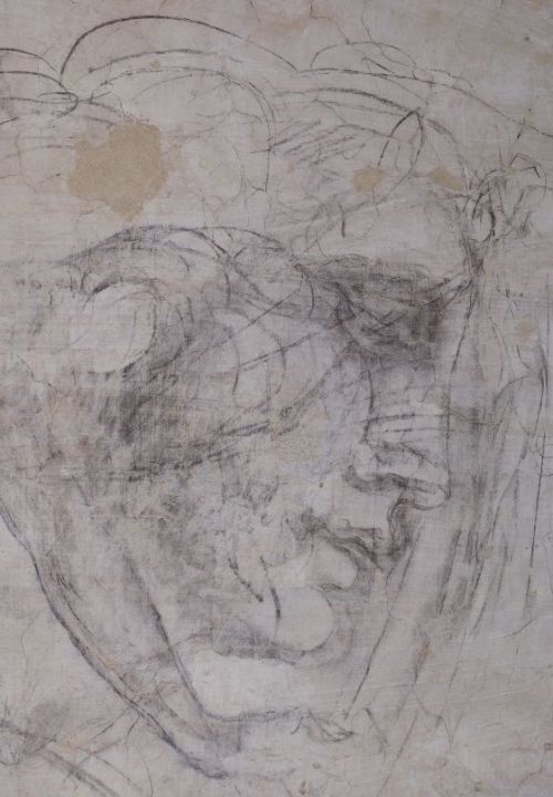 Details of studies attributed to Michelangelo, drawn on the walls of a ‘secret’ roo