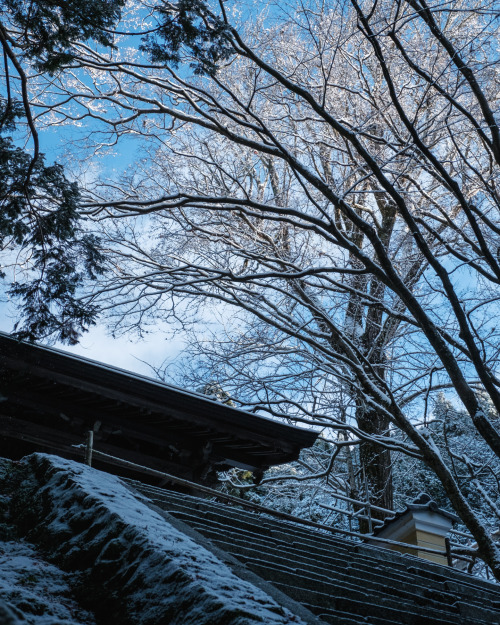 Snowy White and Red Leaves 雪の白と紅葉の赤。 せっかくの雪なので遅めの紅葉が残る山寺へと。 風情があって亀岡のなかでも好きな場所。 #京都 #亀岡 #FUJIFILM&n