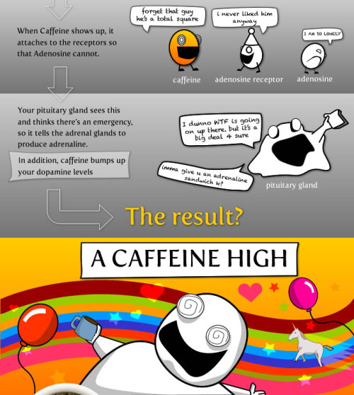 yourcoffeeguru:  Coffee Comic by The Oatmeal