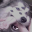 tirednesslol
