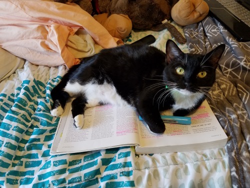 More kiki!(submitted by @savvysass)