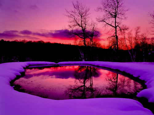 djferreira224:  “Dawn Reflections” ~ Mount Washington State Forest, Massachusetts 