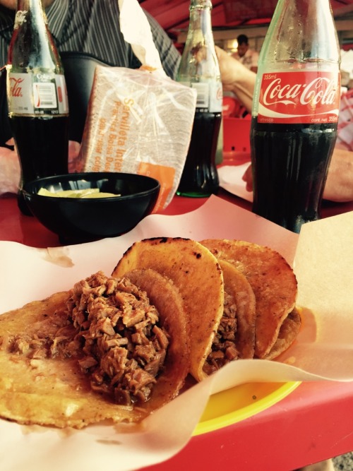 miguel-saucedo:puratecatelight:Nada se compara con los tacos de MéxicoAbsolutamente nada