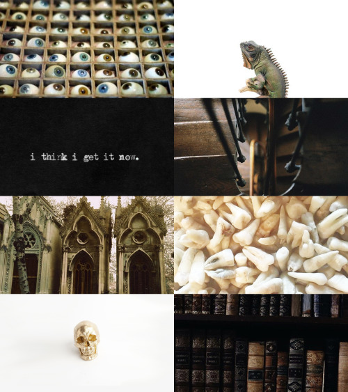  character aesthetics: bruno bolet