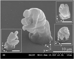 sixpenceee:  The Smallest ThinkerIn 2007, Korean researchers crafted a microscopic version of Rodin’s famed sculpture, the Thinker using lasers. It’s about twice the size of a red blood cell at 20 millionths of a meter high. Muscles and even toes