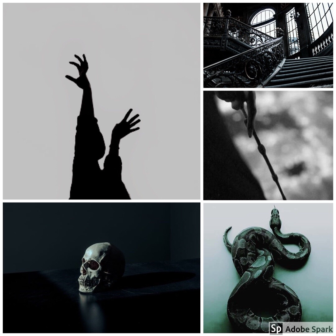 addiethomas2018 on Tumblr: Tom Riddle/Lord Voldemort