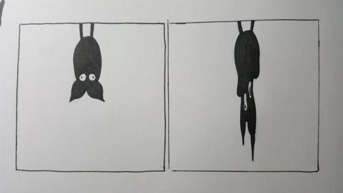 More dumb late night comics