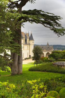 allthingseurope:  Amboise Castle, France