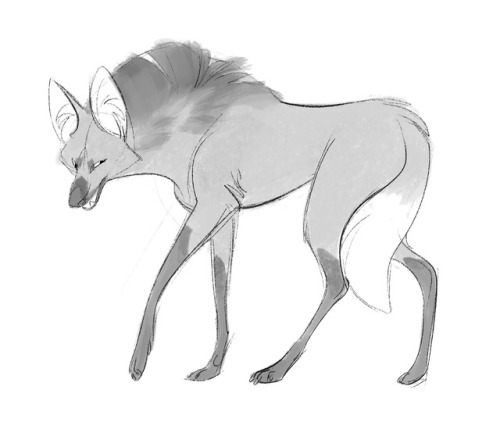 keeping with my trend of drawing goofy looking canid like creatures, here’s some maned wolves 