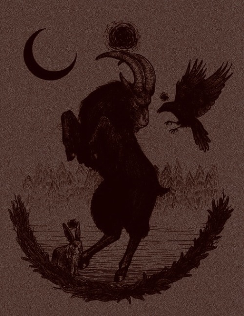 carboxamide-acid:The Vvitch.