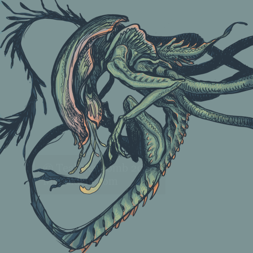 thedancingemu:floral xenomorph doodle in procreate 