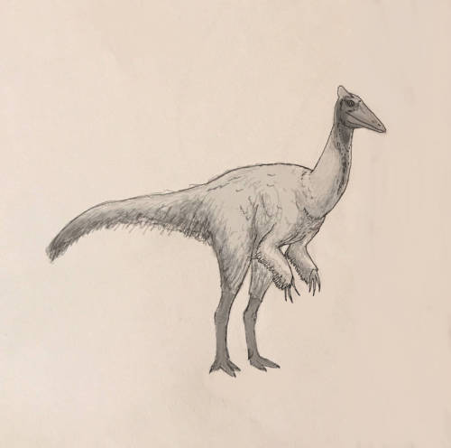 Pelecanimimus 