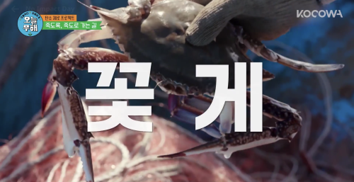 꽃게 blue crab새조개 cockle주꾸미 webfoot octopus대하 jumbo shrimp