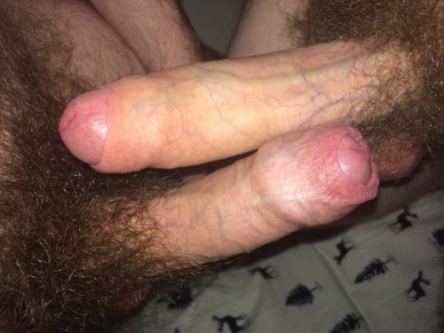 bbhairycouple:  manlybush:  These guys must love each other’s hairy cocks so much. Awesome to see pics like this of naturally hairy guys who aren’t shy of their pubes. 