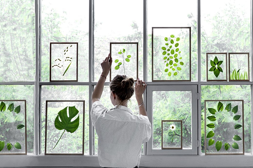 afuturehome:  Framed botanicals - Moebe 