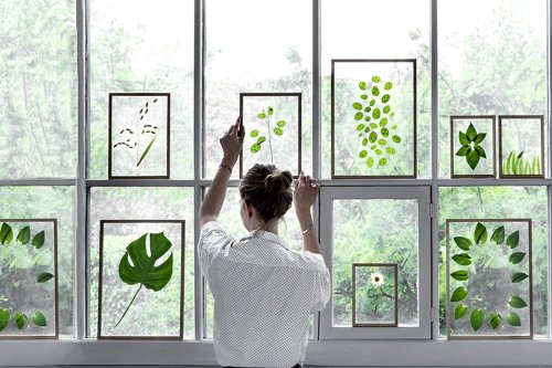 afuturehome:  Framed botanicals - Moebe 