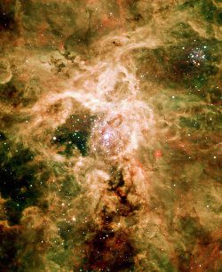 naive-bayesian:  Supernova Remnant NGC 2060