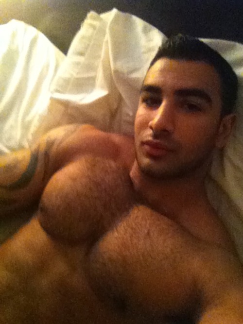 jonathanecko:  @Jonathanecko●Submit●Ask●Narnia