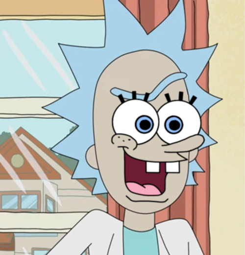 Spongerick