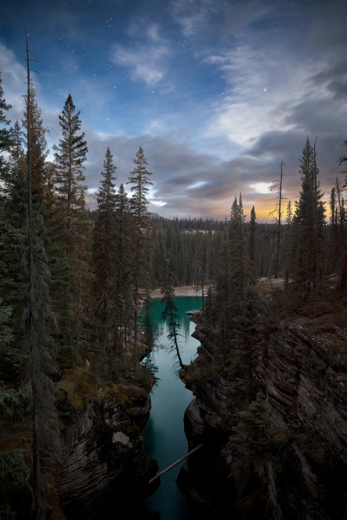 Athabasca Canyon lit by Moonlight - Jasper National Park, Alberta, Canada [2048x1368][OC] @jackfusco - Author: jackfusco on reddit #nature#travel#landscape#amazing#beautiful