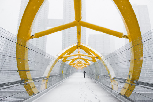 Spring in Toronto