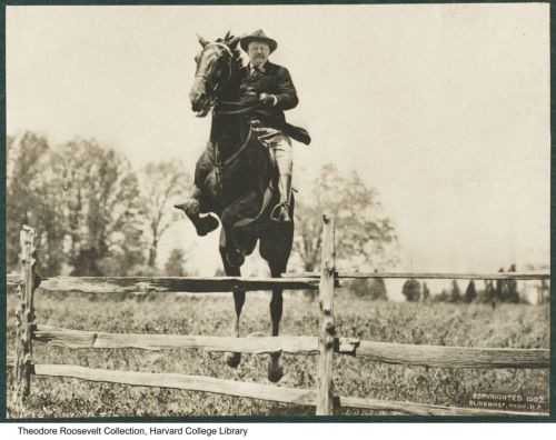 ryanshistoryblog:Theodore Roosevelt on his famous charger, 1902. 