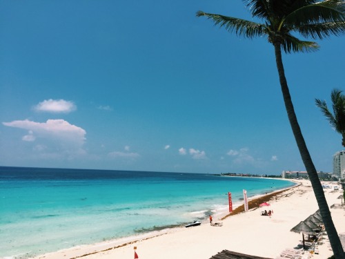 f-i-j-i:ocean blog☾☼