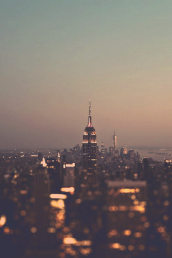 cityneonlights:  New York