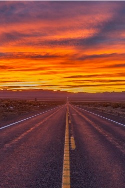 disminucion:  The Lonliest Road, Cory Marshall