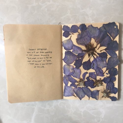 scribbleggs:  my fav journal entries in my little flower-themed journal 