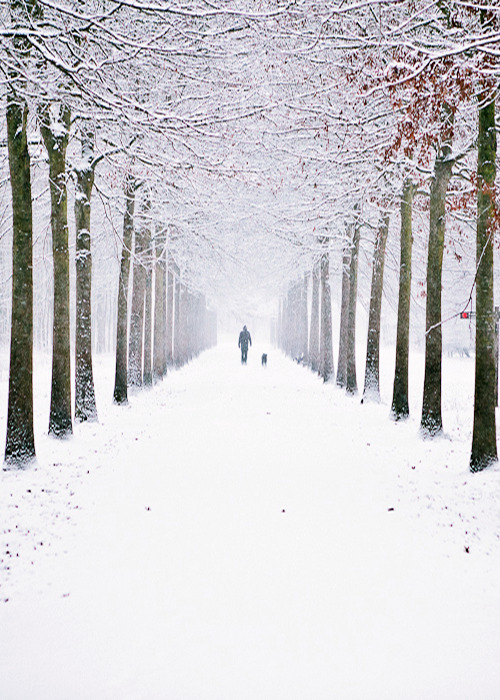etherealvistas:  Snowing in the Netherlands by Benjamin Essen