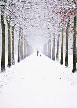 etherealvistas:  Snowing in the Netherlands