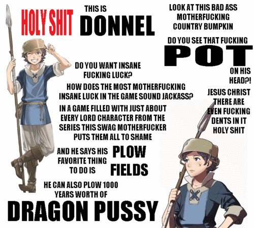 ireallylikeblank:  Donnel is a boss. And yes, I paired him with Nowi.   My Donnel is a Dread Fighter, maxed in every stat but magic, with maxed Tome/Axe/Sword and some kickass abilities to boot. I just throw him into armies, alone, and they break like