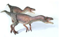 a-dinosaur-a-day:  Eoraptor(EE-oh-rap-tore)