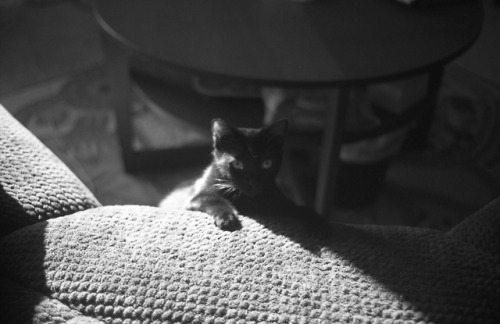 Yuki. 