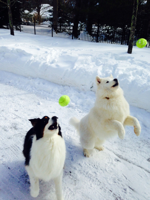 raytayphotography:Modeling and playing ball