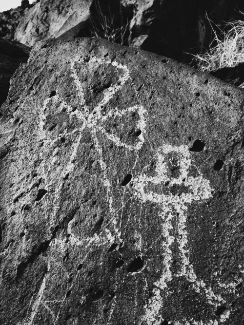 naturalhunter: Petroglyph National Monument
