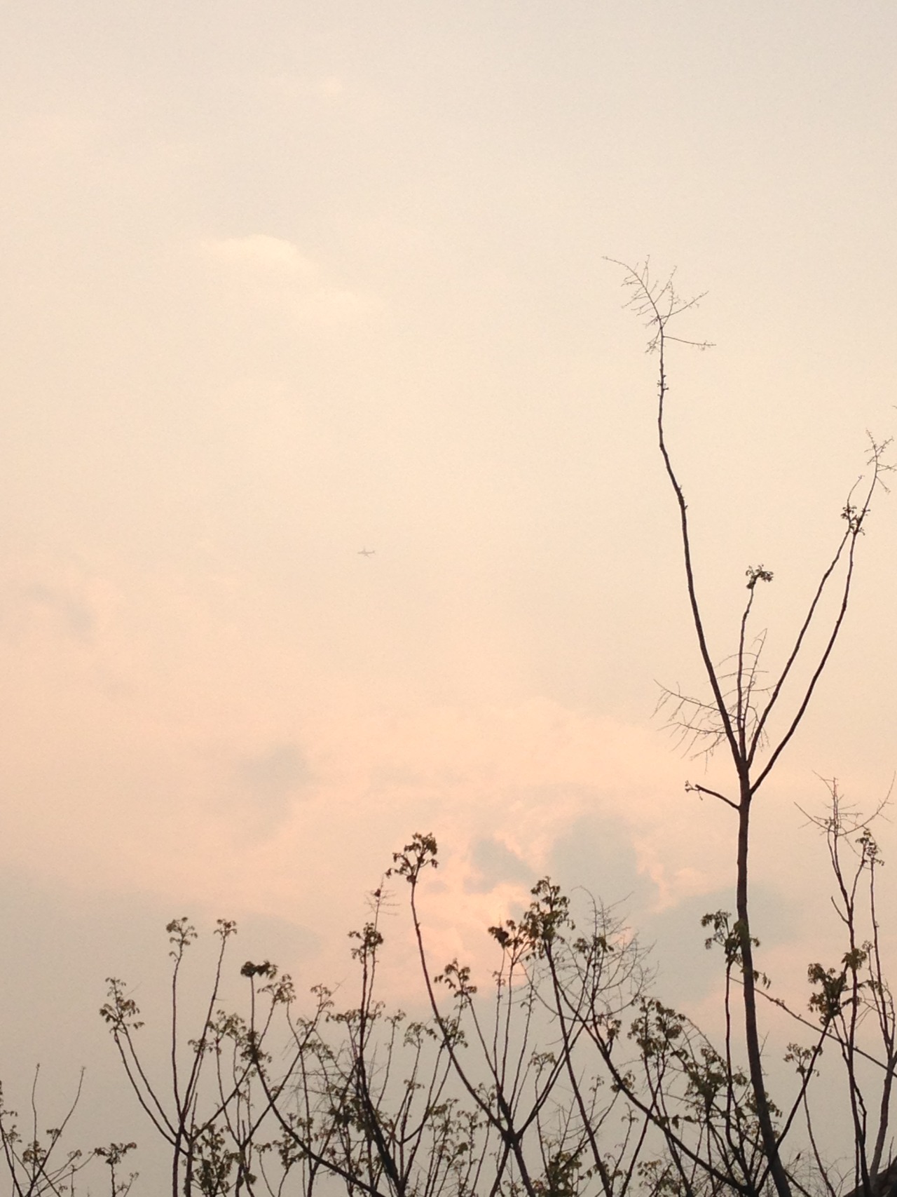 shortelf:the sky after light rain