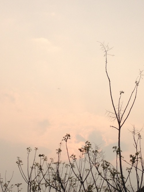 XXX shortelf:the sky after light rain photo