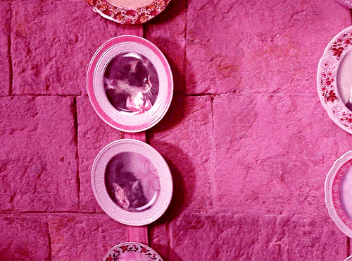 riddlemarvolo:Things we lose have a way of coming back to us in the end… if not always in the way we riddlemarvolo:Things we lose have a way of coming back to us in the end… if not always in the way we